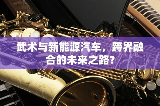 武术与新能源汽车，跨界融合的未来之路？