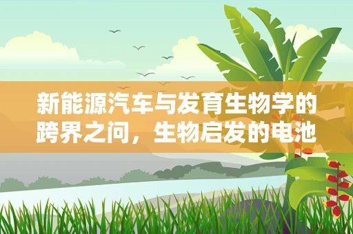 新能源汽车与发育生物学的跨界之问，生物启发的电池技术未来？