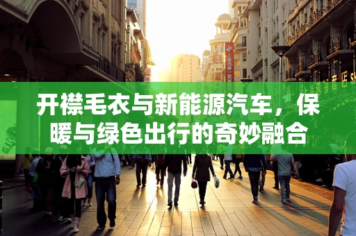 开襟毛衣与新能源汽车，保暖与绿色出行的奇妙融合
