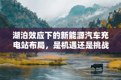 湖泊效应下的新能源汽车充电站布局，是机遇还是挑战？