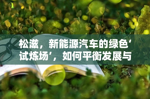 松滋，新能源汽车的绿色‘试炼场’，如何平衡发展与生态保护？