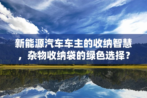 新能源汽车车主的收纳智慧，杂物收纳袋的绿色选择？