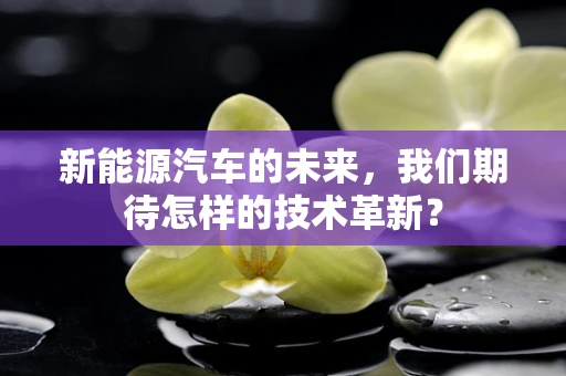 新能源汽车的未来，我们期待怎样的技术革新？