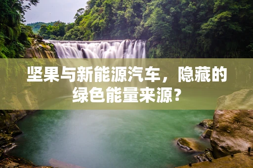 坚果与新能源汽车，隐藏的绿色能量来源？