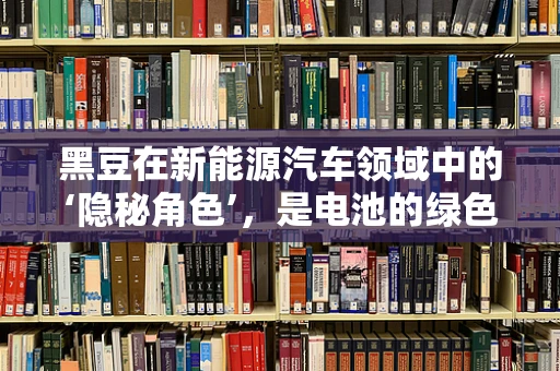 黑豆在新能源汽车领域中的‘隐秘角色’，是电池的绿色添加剂吗？