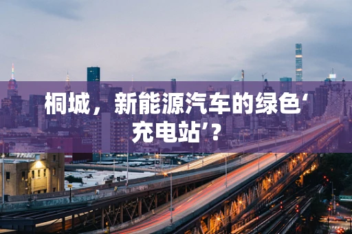 桐城，新能源汽车的绿色‘充电站’？