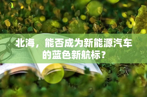 北海，能否成为新能源汽车的蓝色新航标？