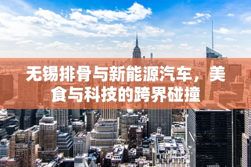 无锡排骨与新能源汽车，美食与科技的跨界碰撞