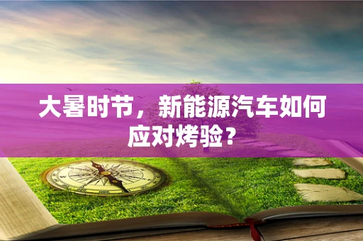 大暑时节，新能源汽车如何应对烤验？
