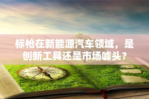 标枪在新能源汽车领域，是创新工具还是市场噱头？