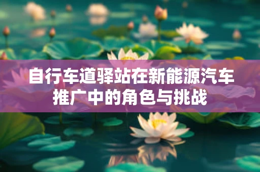 自行车道驿站在新能源汽车推广中的角色与挑战