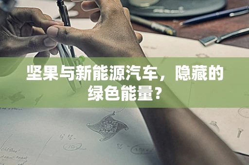 坚果与新能源汽车，隐藏的绿色能量？