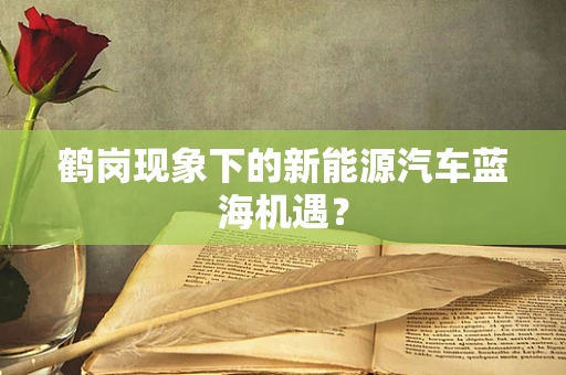 鹤岗现象下的新能源汽车蓝海机遇？