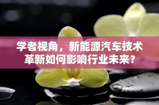 学者视角，新能源汽车技术革新如何影响行业未来？