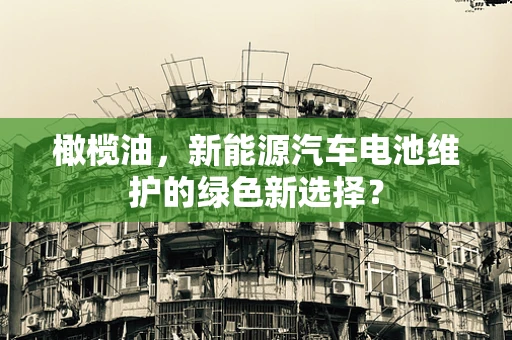 橄榄油，新能源汽车电池维护的绿色新选择？