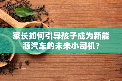 家长如何引导孩子成为新能源汽车的未来小司机？