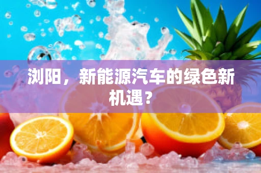 浏阳，新能源汽车的绿色新机遇？