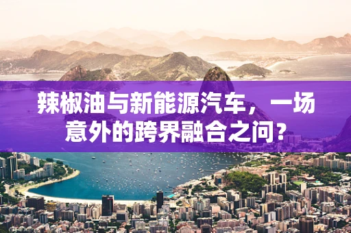 辣椒油与新能源汽车，一场意外的跨界融合之问？