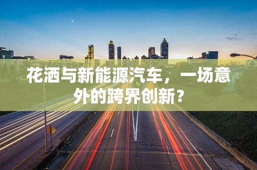 花洒与新能源汽车，一场意外的跨界创新？