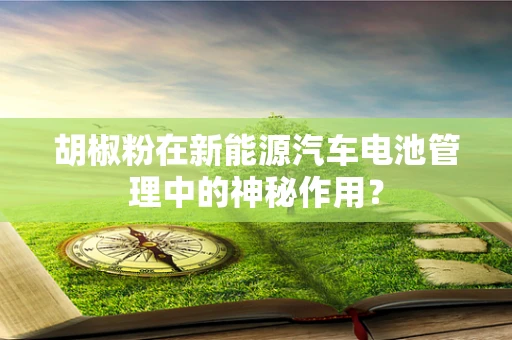 胡椒粉在新能源汽车电池管理中的神秘作用？