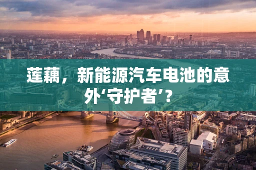 莲藕，新能源汽车电池的意外‘守护者’？