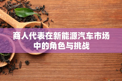 商人代表在新能源汽车市场中的角色与挑战