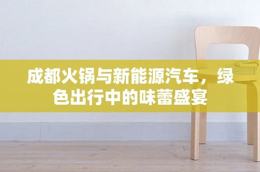 成都火锅与新能源汽车，绿色出行中的味蕾盛宴