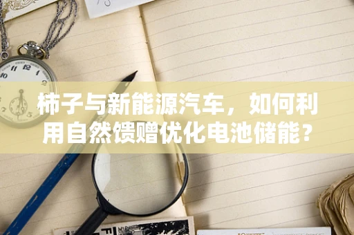 柿子与新能源汽车，如何利用自然馈赠优化电池储能？