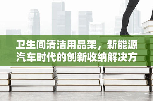 卫生间清洁用品架，新能源汽车时代的创新收纳解决方案？