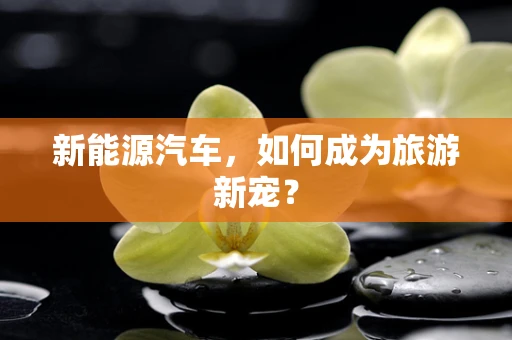 新能源汽车，如何成为旅游新宠？