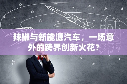 辣椒与新能源汽车，一场意外的跨界创新火花？