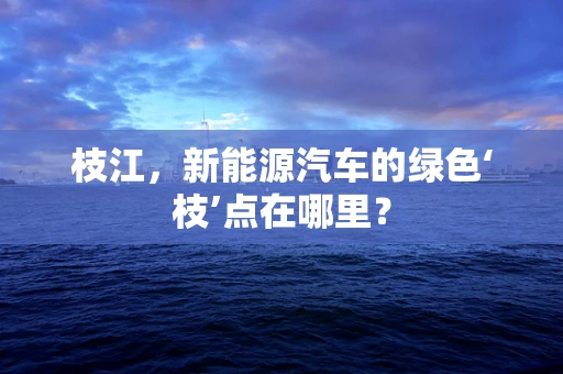 枝江，新能源汽车的绿色‘枝’点在哪里？