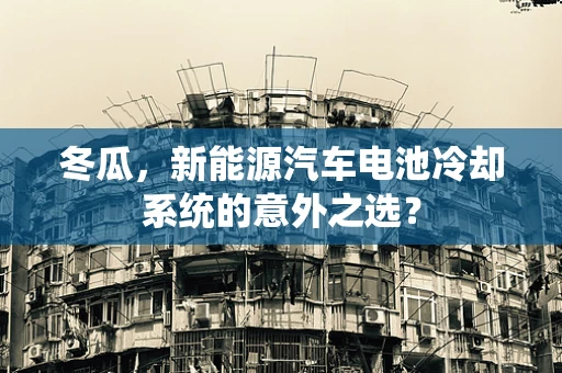 冬瓜，新能源汽车电池冷却系统的意外之选？