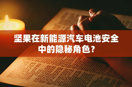 坚果在新能源汽车电池安全中的隐秘角色？