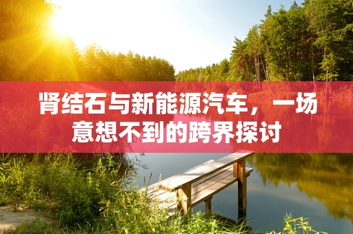 肾结石与新能源汽车，一场意想不到的跨界探讨