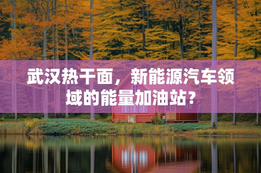 武汉热干面，新能源汽车领域的能量加油站？