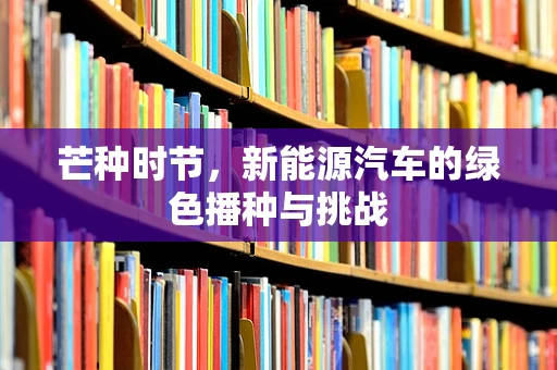 芒种时节，新能源汽车的绿色播种与挑战