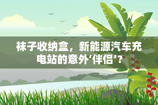 袜子收纳盒，新能源汽车充电站的意外‘伴侣’？
