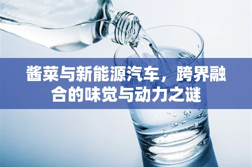 酱菜与新能源汽车，跨界融合的味觉与动力之谜