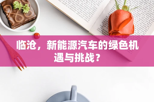 临沧，新能源汽车的绿色机遇与挑战？