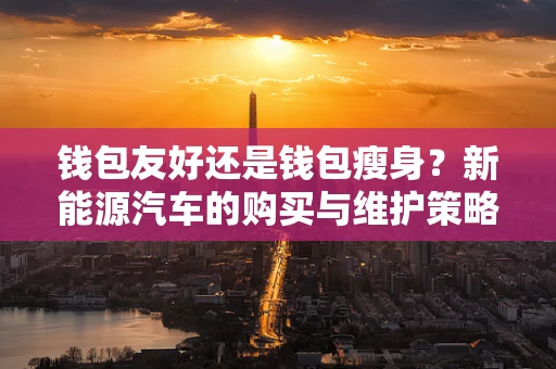 钱包友好还是钱包瘦身？新能源汽车的购买与维护策略