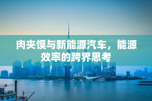 肉夹馍与新能源汽车，能源效率的跨界思考