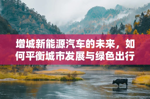 增城新能源汽车的未来，如何平衡城市发展与绿色出行？