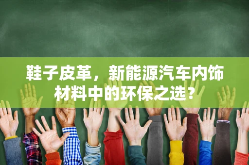 鞋子皮革，新能源汽车内饰材料中的环保之选？
