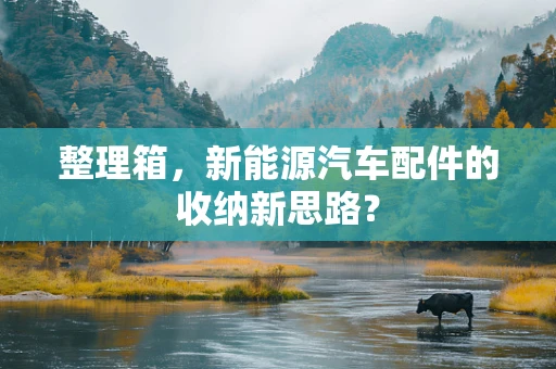 整理箱，新能源汽车配件的收纳新思路？