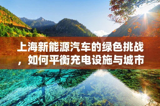 上海新能源汽车的绿色挑战，如何平衡充电设施与城市规划的和谐共存？