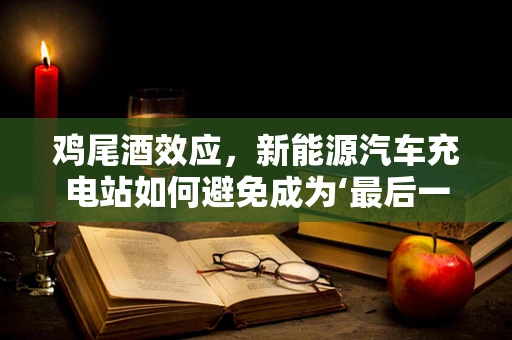 鸡尾酒效应，新能源汽车充电站如何避免成为‘最后一英里’的瓶颈？