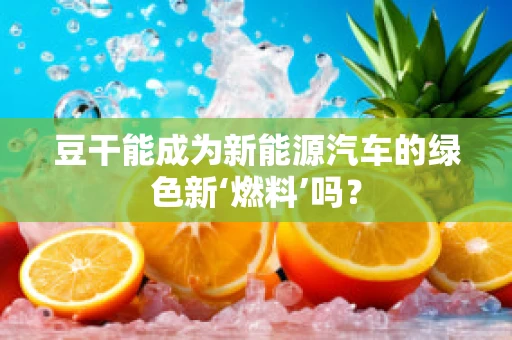 豆干能成为新能源汽车的绿色新‘燃料’吗？