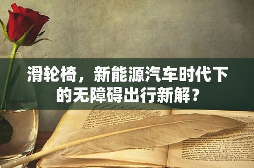 滑轮椅，新能源汽车时代下的无障碍出行新解？