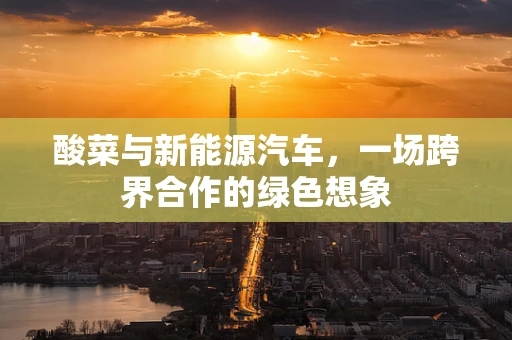 酸菜与新能源汽车，一场跨界合作的绿色想象